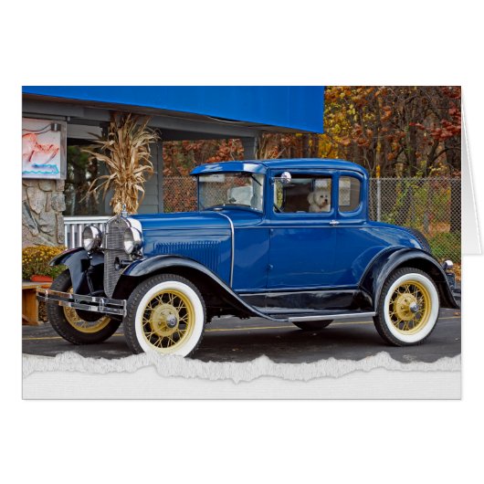 アンティークカーバイダイナーバイビコンフリースドッグ (正面横)