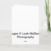 アンティークカー誕生日カード カード (裏面)