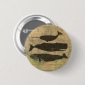 アンティーククジラの海洋生物 缶バッジ (正面&裏面)