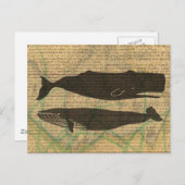 アンティーククジラの航海術: ヴィンテージの海洋生物 ポストカード (正面/裏面)