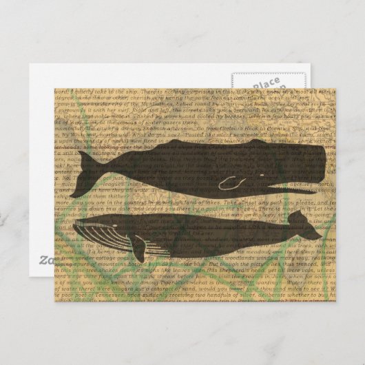 アンティーククジラの航海術: ヴィンテージの海洋生物 ポストカード (正面/裏面)