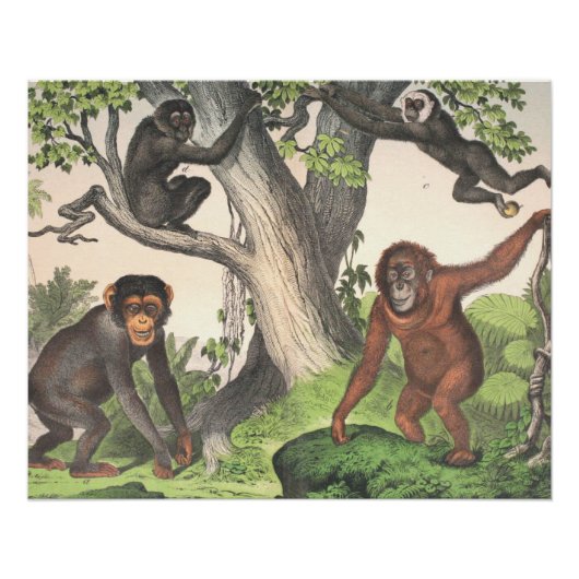 アンティークサルプリント ポスター (正面)