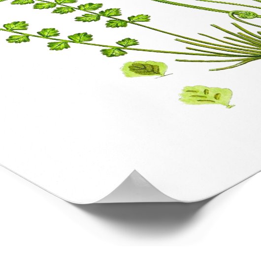 アンティークシダプリント#12グリーン自然植物芸術 ポスター (角)