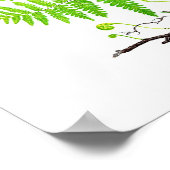 アンティークシダプリントNo.1植物学イラストレーション ポスター (角)