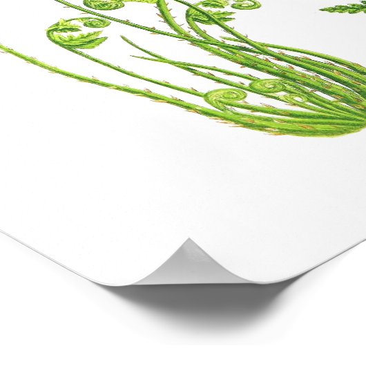 アンティークシダプリントNo.7グリーン自然植物芸術 ポスター (角)