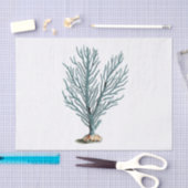 アンティークシーコーラルイラストレーション 薄葉紙 (クラフト)