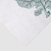 アンティークシーコーラルイラストレーション 薄葉紙 (詳細)