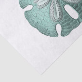 アンティークシーサンドドルイラストレーション 薄葉紙 (詳細)