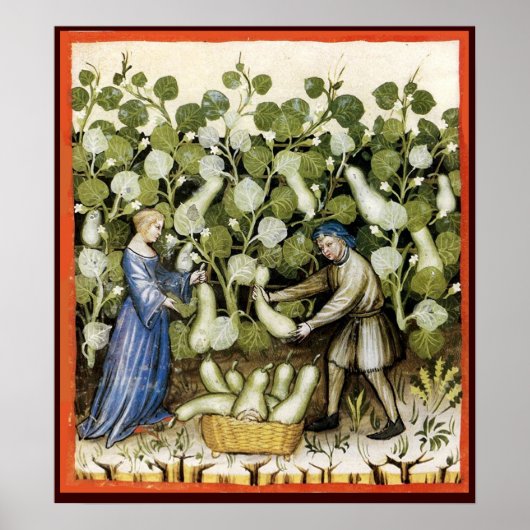 アンティークスカッシュ収穫 ポスター (正面)