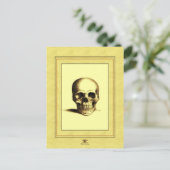 アンティークスカル ポストカード (スタンド正面)