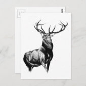 アンティークスタグアートスケッチ手作り自然 ポストカード (正面/裏面)