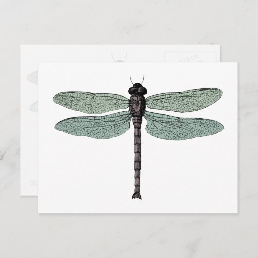 アンティークタイポグラフィヴィンテージトンフライイラストレーション ポストカード (正面/裏面)