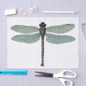 アンティークタイポグラフィヴィンテージトンフライイラストレーション 薄葉紙 (クラフト)