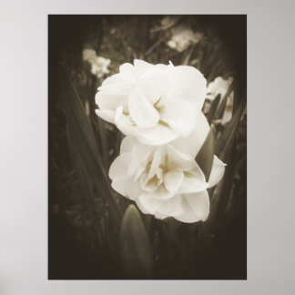 アンティークダフォディルプリント ポスター