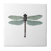 アンティークダンセルフライヴィンテージトンボ昆虫スケッチ タイル (正面)
