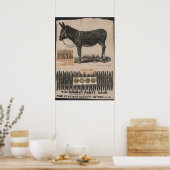 アンティークテールオンザドンキー ポスター (キッチン)