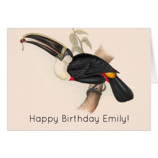 アンティークトゥーカン鳥絵画野生動物 (正面横)