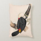 アンティークトゥーカン鳥絵画野生動物 アクセントクッション (正面(垂直))