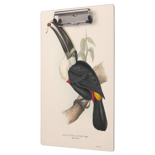 アンティークトゥーカン鳥絵画野生動物 クリップボード (左)