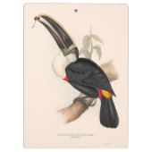 アンティークトゥーカン鳥絵画野生動物 クリップボード (裏面)