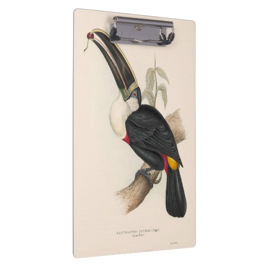 アンティークトゥーカン鳥絵画野生動物 クリップボード (右)