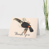 アンティークトゥーカン鳥絵画野生動物 サンキューカード (正面)