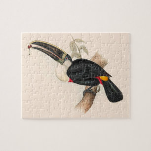 アンティークトゥーカン鳥絵画野生動物 ジグソーパズル
