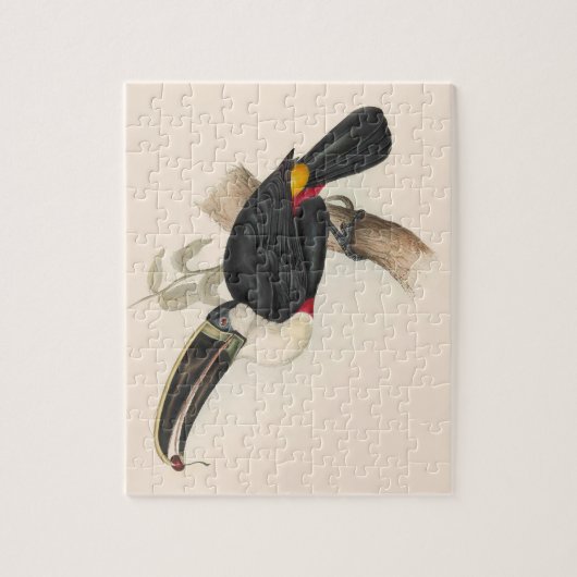 アンティークトゥーカン鳥絵画野生動物 ジグソーパズル (縦)