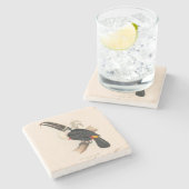 アンティークトゥーカン鳥絵画野生動物 ストーンコースター (横)