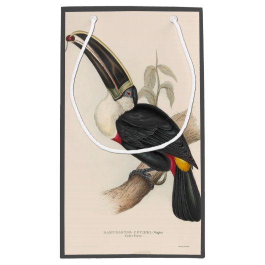 アンティークトゥーカン鳥絵画野生動物 スモールペーパーバッグ (裏面)