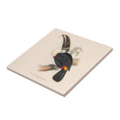 アンティークトゥーカン鳥絵画野生動物 タイル (側面)