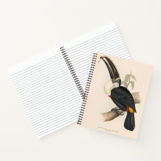 アンティークトゥーカン鳥絵画野生動物 ノートブック (内部)