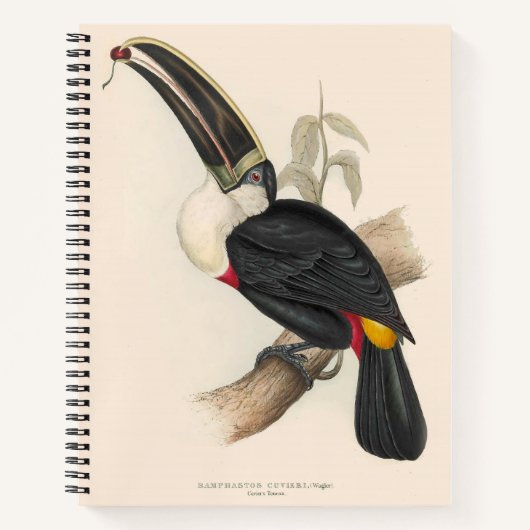 アンティークトゥーカン鳥絵画野生動物 ノートブック (正面)