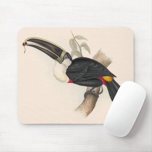 アンティークトゥーカン鳥絵画野生動物 マウスパッド (マウス)