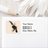 アンティークトゥーカン鳥絵画野生動物 ラベル (インサイチュ)