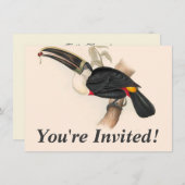 アンティークトゥーカン鳥絵画野生動物 招待状 (正面/裏面)