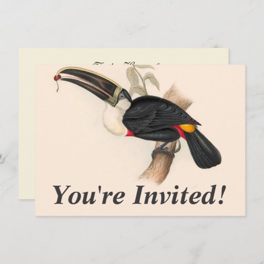 アンティークトゥーカン鳥絵画野生動物 招待状 (正面/裏面)