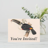 アンティークトゥーカン鳥絵画野生動物 招待状 (スタンド正面)