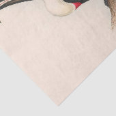 アンティークトゥーカン鳥絵画野生動物 薄葉紙 (詳細)