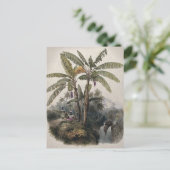 アンティークトロピカルバナナツリーフォレスト | ヴィンテージボット ポストカード (スタンド正面)