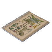 アンティークトロピカルパームフルーツ植物学 ノートブック (左側)