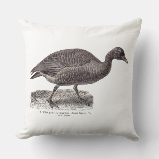 アンティークドイツの鳥プリントワイルドガンス クッション (正面)