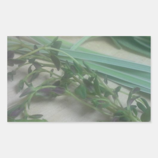 アンティークハーブ写真 長方形シール (正面)