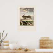 アンティークバニーラビットカラーエッチング ポスター (キッチン)