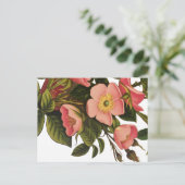 アンティークバラフラワーアートイラストレーションスケッチ ポストカード (スタンド正面)