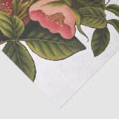 アンティークバラフラワーアートイラストレーションスケッチ 薄葉紙 (詳細)