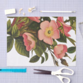 アンティークバラフラワーアートイラストレーションスケッチ 薄葉紙 (クラフト)