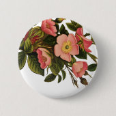 アンティークバラヴィンテージフラワーイラストレーションアート 缶バッジ (正面)