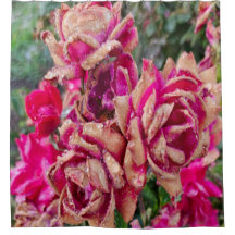 アンティークバラ