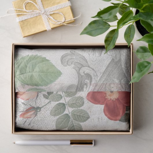 アンティークバラ、刻印された巻物とスクリプトの切り離し 薄葉紙 (ギフト)